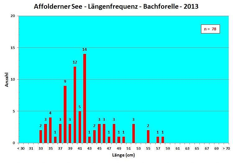 Längenfrequenzdiagramm Bachforelle 2013