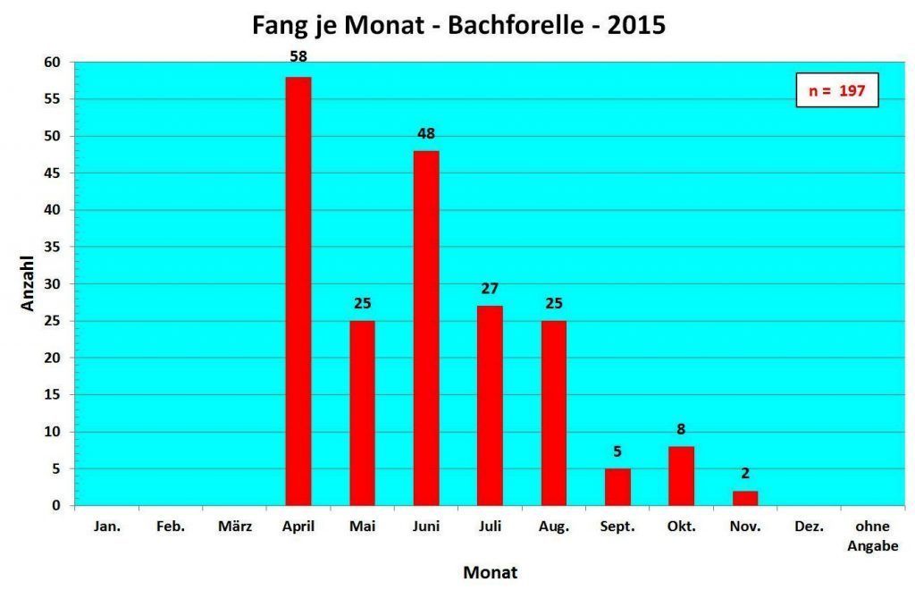Fang pro Monat Bachforelle 2015