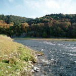 Bild 1: Fangdamm bei Herzhausen