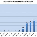 Summe der Kormoranbeobachtungen