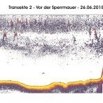 Transekte II - Vor der Spermauer - 24.06.15