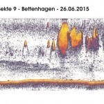 Transekte IX - Bettenhagen - 24.06.15