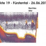 Transekte XIX - Führstental - 24.06.15