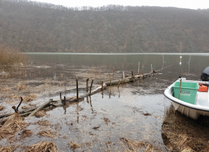 Hechtbereusung im Edersee 2022